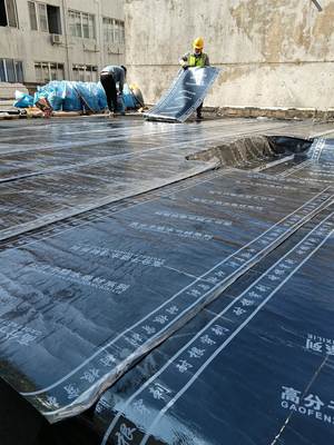 湛江遂溪陽臺防水補漏