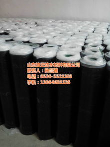 sbs耐根穿刺防水卷材 防水卷材 浩正防水材料